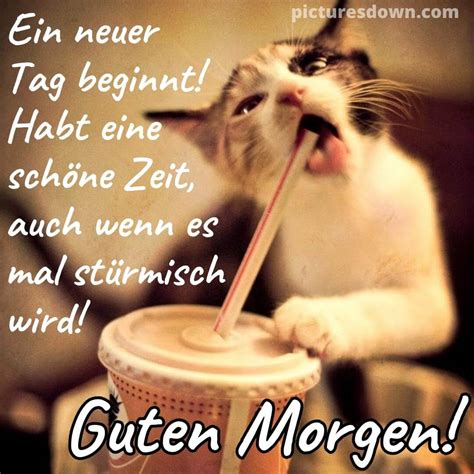 guten morgen kaffee lustig|lustige kaffee quotes.